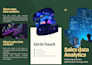 design professional powerpoint presentations and canva designs